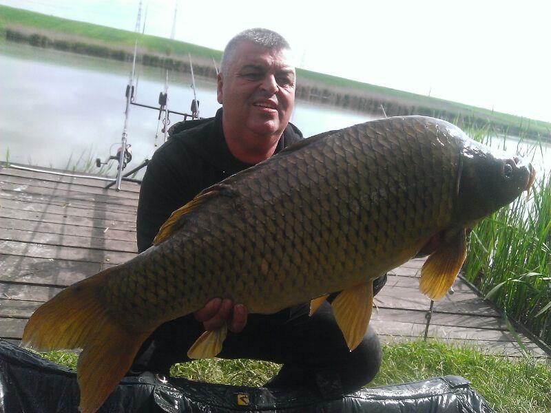 2014 Balta Lazar Alexandria - img-20140429-wa0002.jpg